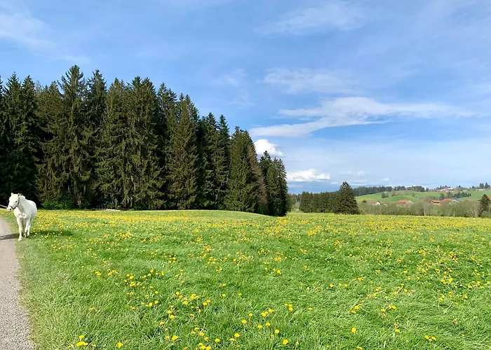 Lindners Hideaways - Bergnest Lodge - Bergblick Fewo 6 Pers Balkon Garten Hund Ski Unterkunft Luftkurort Oberreute Naehe Buchenegger Wasserfaelle Eistobel Bodensee