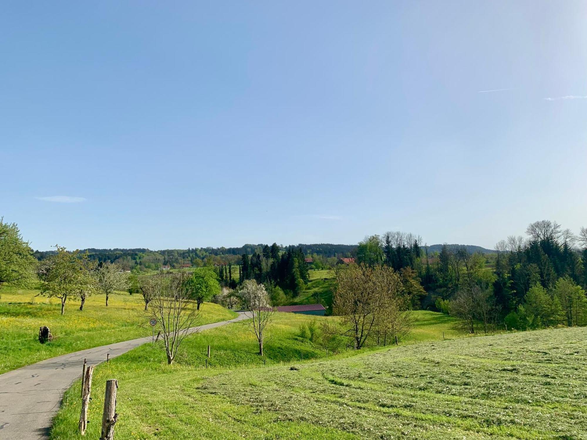 Lindners Hideaways - Bergnest - Bergblick 6 Pers Balkon Garten Hund Luftkurort Naehe Buchenegger Wasserfaelle Eistobel Bodensee