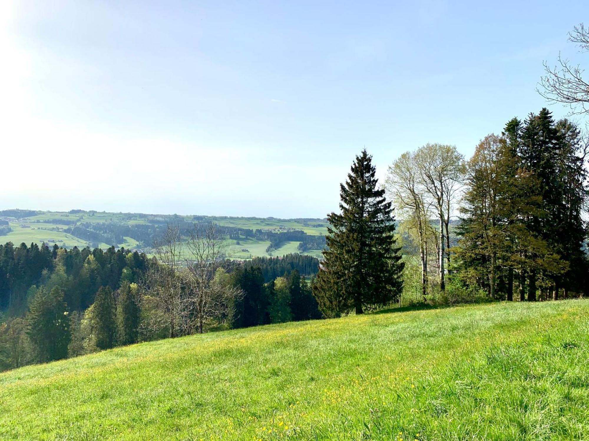 Apartment Lindners Hideaways - Bergnest - Bergblick 6 Pers Balkon Garten Hund Luftkurort Naehe Buchenegger Wasserfaelle Eistobel Bodensee Oberreute